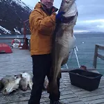 Brygger Hytte Koppangen