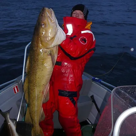 ロッジ Brygger Koppangen