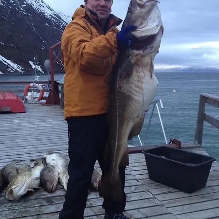 Brygger ロッジ Koppangen