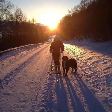 Brygger *