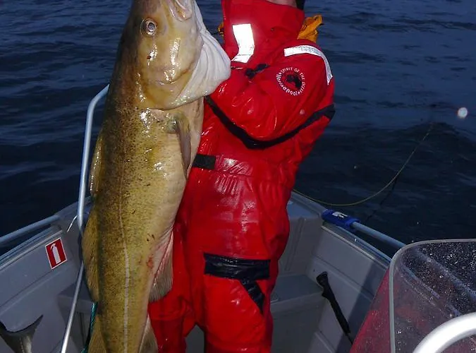 Lodge Brygger Koppangen